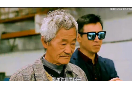 两当企业清欠服务