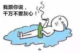 两当债务清欠服务